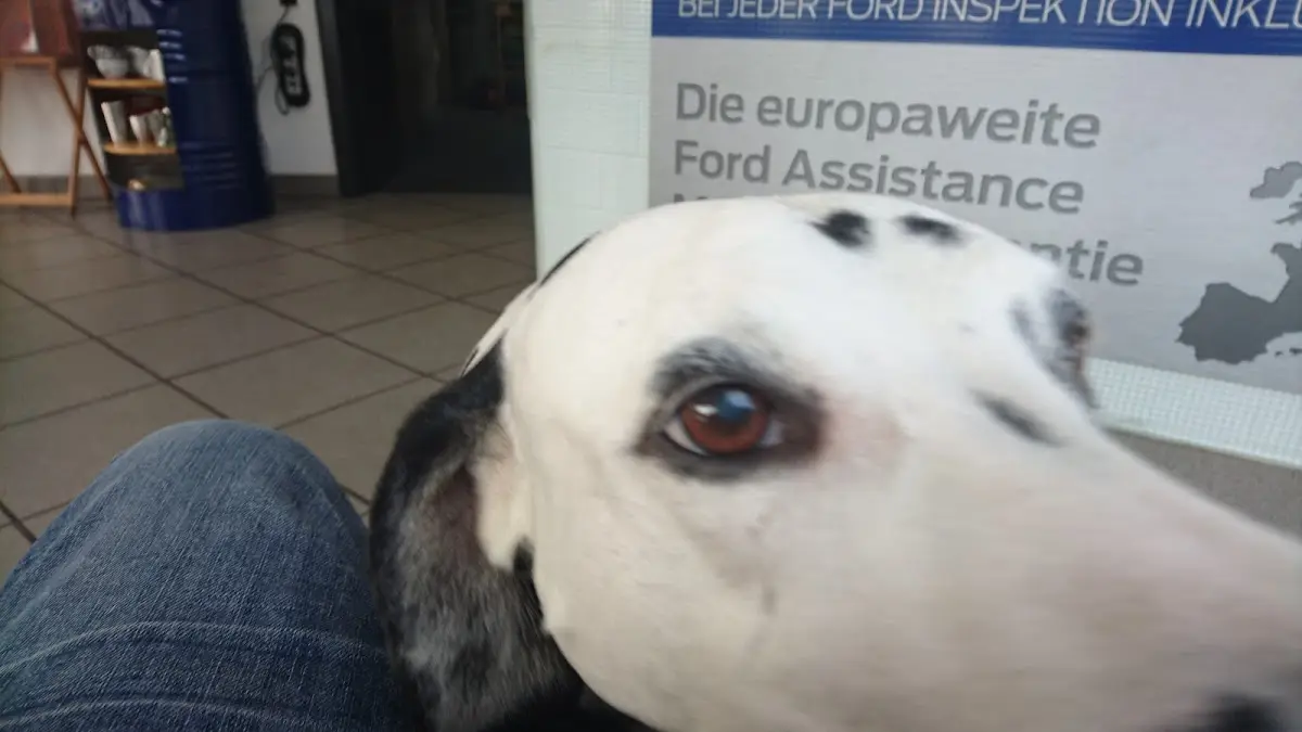 Werkstatt Impression 3