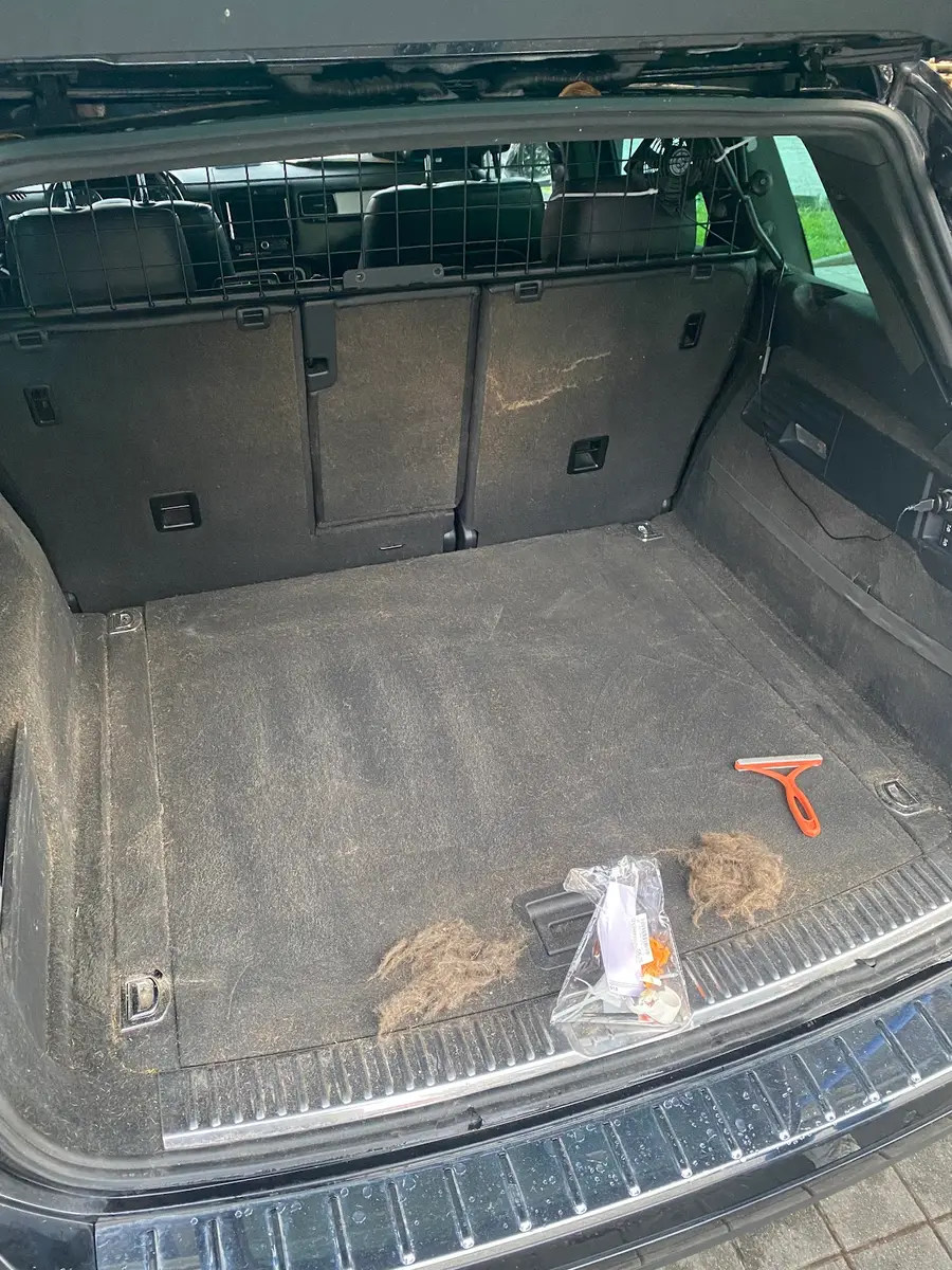 Werkstatt Impression 5