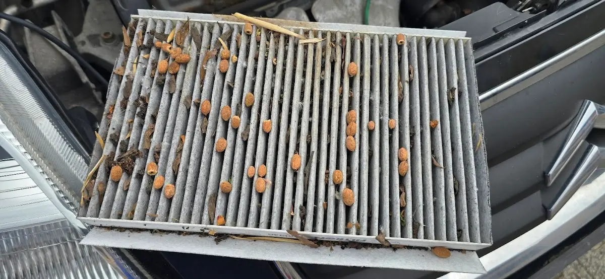 Werkstatt Impression 2