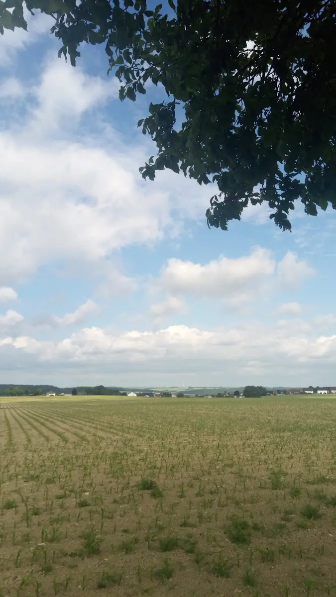 Werkstatt Impression 2