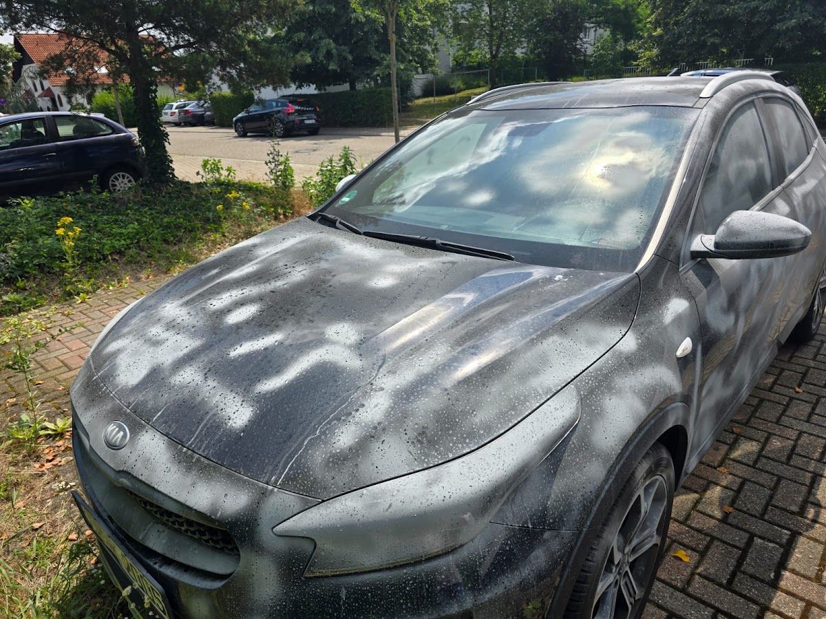 Werkstatt Impression 2