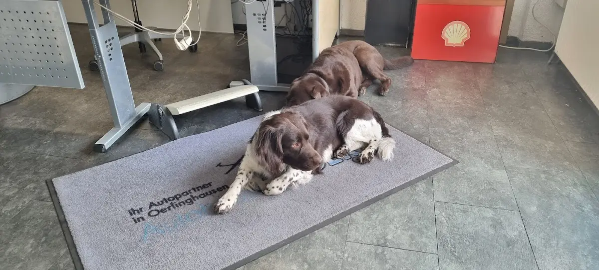 Werkstatt Impression 3